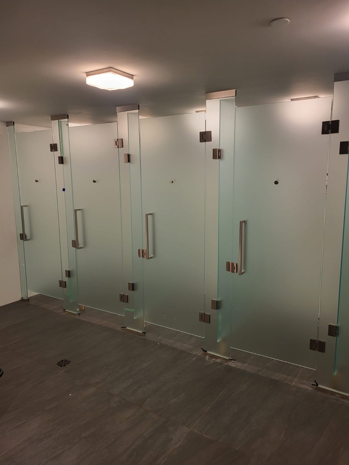 Glass washroom partitions